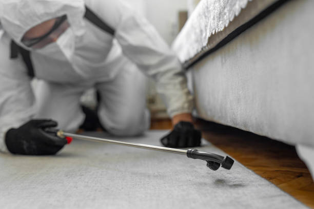 Professional Cockroach Control technician working in New London, CT