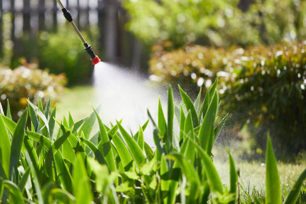 24/7 Emergency Cockroach Control experts in New London, CT