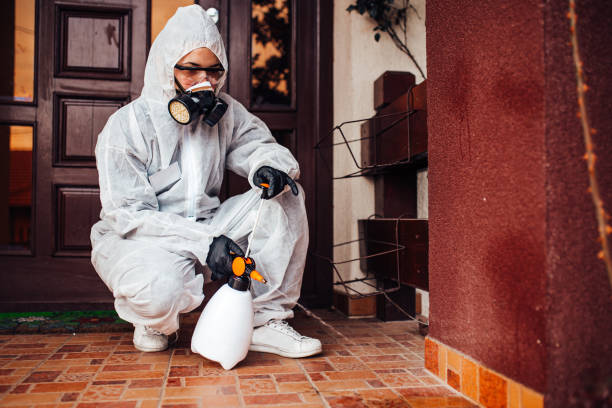 Reliable Cockroach Control contractor in New London, CT by Nex Pest Control